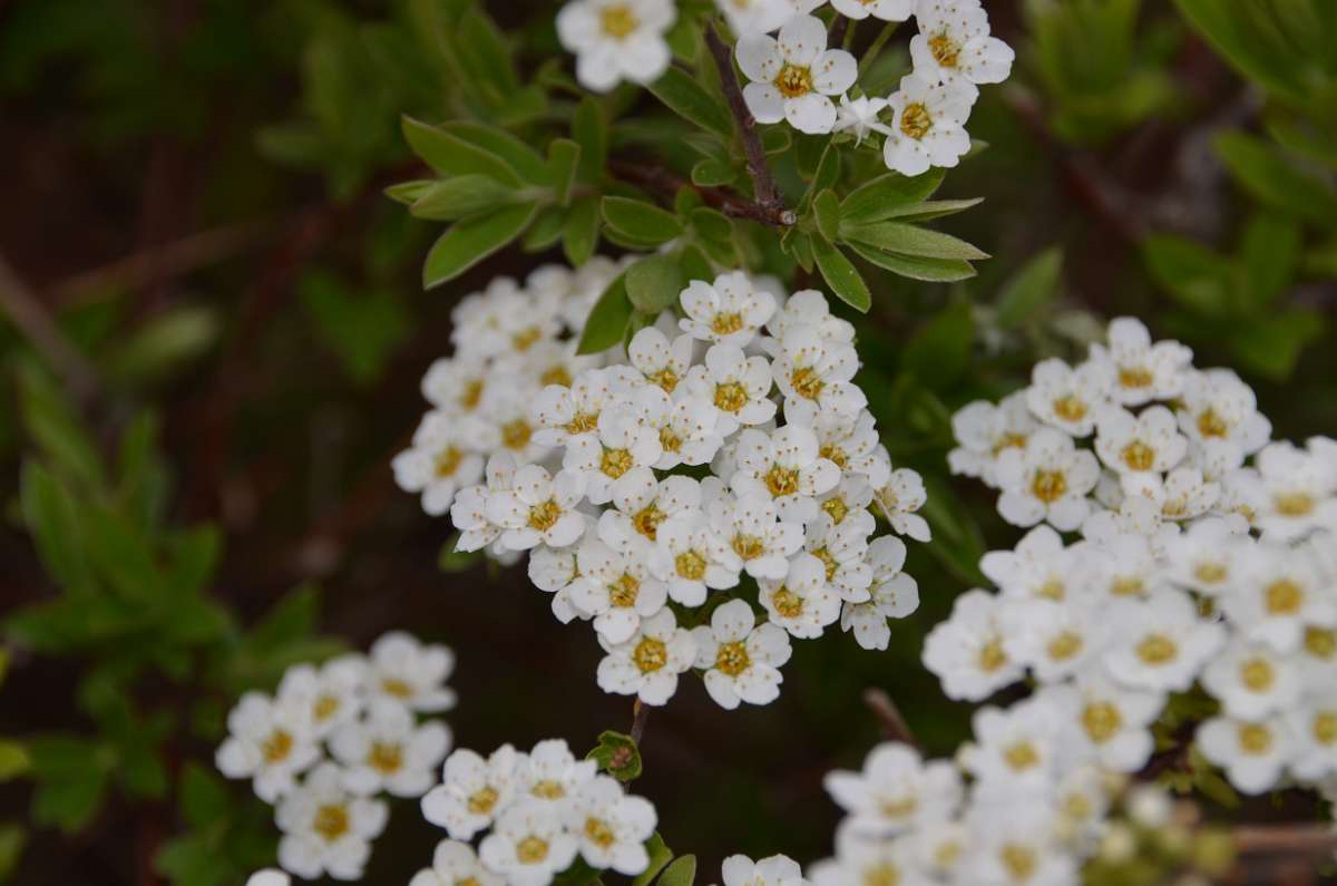 2014-03-31 16-52-59.JPG